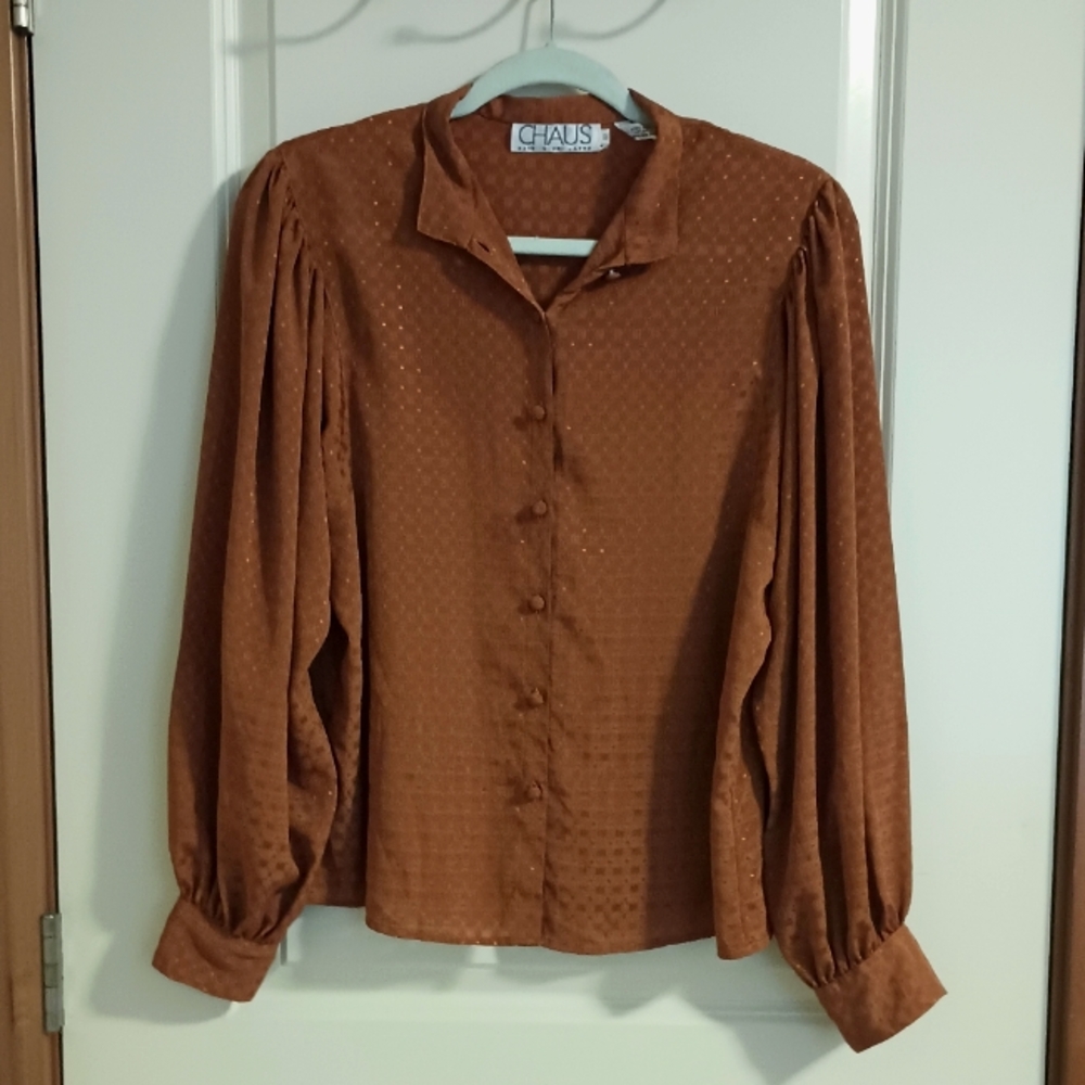 LAST CHANCE Vintage Bronze Silky Balloon Sleeve Button Up Blouse